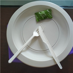 一次性可降解国产探花视频在线看