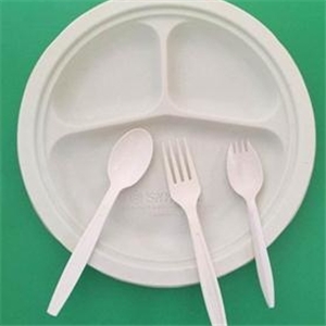 一次性环保国产探花视频在线看
