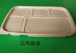 一次性国产探花视频在线看
