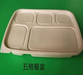 一次性环保国产探花视频在线看