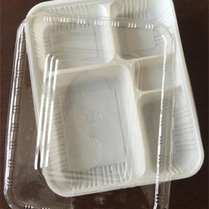 一次性环保国产探花视频在线看